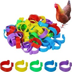 Durable 20mm Poultry Leg Bands – 50 Pack with 5 Vibrant Colors for Easy Sorting