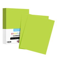 Light Green Bright Color Cardstock, 65lb Cover (176GSM), 8.5 x 11, 250 Sheets