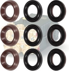General Pump Kit 69 Packing Kit 20mm for GP K69 Interpump TS2010 TS1511 47series