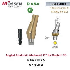 Anatomic Titanium Angulated Abutment 17 Degree Angle Regular Ø5.0mm For Hiossen