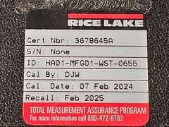 RICE LAKE 300g and 10 g CALIBRATION WEIGHT SET WITH CASE. CALIBRATED: 02/2024