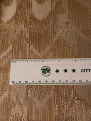 City Of Madison Heights 12″ Ruler Michigan MI Green White Plastic 30mm Progress
