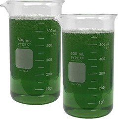 Pyrex Berzelius Tall Form 600 mL Beaker Graduated (Single)