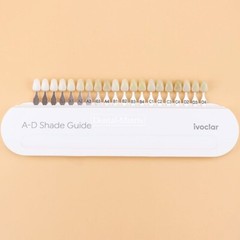 Ivoclar Vivadent Dental Teeth Shade Guide A-D 20 Colors Porcelain Color Chart
