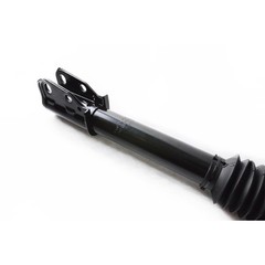 Rear Side Complete Strut Spring Assembly 171799 1985-1999