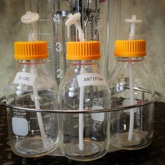 4L Sartorius-Type Jacketed Double Wall Glass Bioreactor Fermenter Vessel