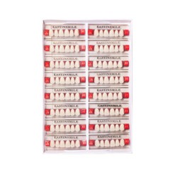 US Dental Acrylic Resin Teeth Anterior/Posterior Shade A1/A2/A3 Full Set Denture