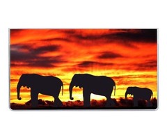 Style Choice * Safari * 3 Year Pocket Calendar Planner 2025-2027 w Notepad
