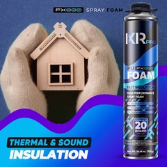 Spray Foam Insulation Can (23.1 oz. (655 g)) Expanding Foam Sealant