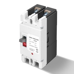 DC Circuit Breaker 500V 160A Panel Mount 2-Pole Overload Protection