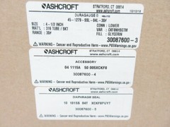 ASHCROFT 45-1279 30 PSI GLYCERIN 10-101SS-04T-XCK 04-1115A-50-005 DIAPHRAGM SEAL
