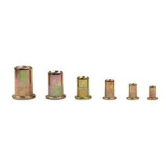 100/50pcs Carbon Steel Nutserts Rivet Nut Rivnut Nutsert M3 M4 M5 M6 M8 M10 M12