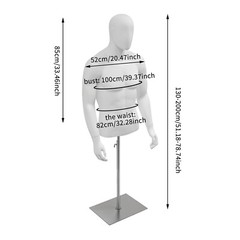 Male Mannequin Torso Manikin Dress Form 4.27-6.56ft Height Adjustable Detachable