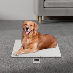660LB Heavy Duty Digital Industry Shipping Postal Platform Scale Weight 300kg