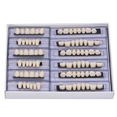 840Pcs Dental Acrylic Resin Denture 24# A2 Full Set Teeth Upper Lower Shade HOT