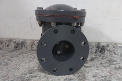 Ipex USA LLC 53876 4 In Flange x Flange Connection PVC Swing Check Valve