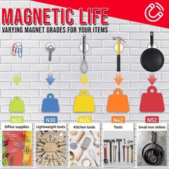 FINDMAG Neodymium Disc Magnets 1.18in Strong Rare Earth Magnets 8 Pack