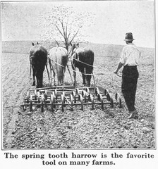 IH International More and Better Potatoes to the Acre Brochure