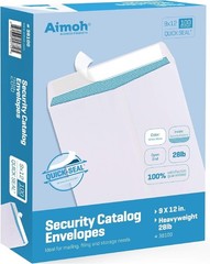 100 Count 9×12 Security Tinted Catalog Envelopes – Reliable Mailing Solution