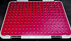 VERMONT GAGE Pin Gauge Set: No-Go (Minus), 0.061 in to 0.25 in, 0.001 in Dia Inc