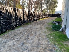 4 Mil, 40′ x 100′ Black Plastic Sheeting Roll-Poly Visqueen|USA Made – Sandbaggy