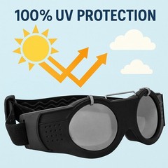 Birdz Eyewear Steampunk Goggles Premium Eye Protection with Gray Lenses in