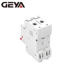 GEYA AC Mini Circuit Breaker MCB 2P 6/10/16/25/32/40/50/63A 6kA C Curves Switch
