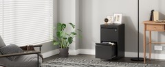 Metal 2 Drawer File Cabinet with Lock Storage 2 Drawer Filing Cabinet Vertical