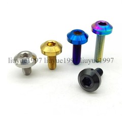 Titanium Bolt M6 M8 Hex Head Ti Screw for Bike Motorcycle 12 15 20 25 30 35 40mm