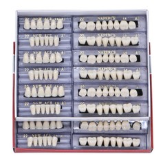 10 Boxes Dental Acrylic Resin Denture 22# A1 Full Sets Teeth Upper Lower Shade