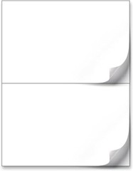 220-1000-4400 Shipping Label 8.5 x 5.5 Half Sheet 2 Per Sheet Self Adhesive