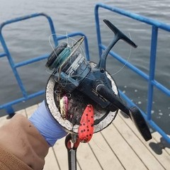 500Lb 227Kg Imanes De Pesca De Neodimio Super Potentes De Grado Magnetico