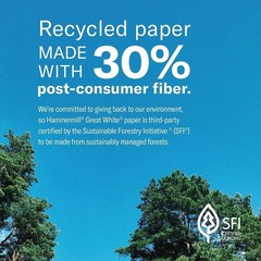 Great White 8.5 x 11 Recycled Printer Paper, 10 Reams, 92 Bright, Made in USA