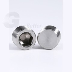 Stainless Steel Internal Hex Male Blanking Plug with BSPP, BSPT and NPT Threads