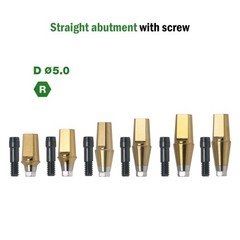 Dental Titanium Straight Abutment Ti Cemented Abutment Fits to Osstem Hiossen TS
