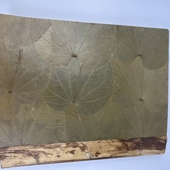 Handmade Costa Rica Journal Large 14×11¾ Butterfly Leaf Cover Eco Artisan Book