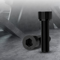 CNC Shaft Coupler Aluminum Alloy Flexible Plum Spider Jaw Coupling All Bore Size
