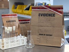 Paper Evidence Bag, Pack of 100 Small Medium Large