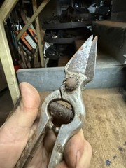 Vintage Old Original Wool Sheep Shears Farm Barn Hand Tool Leather Holster USA