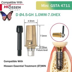 US Dental Straight Abutment Hiossen ET Osstem TS Ti Mini Regular Platform Hex