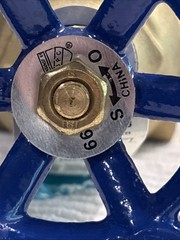 BRASS GATE VALVE 2”F X 2”F 200 WOG 200 PSI Everbilt