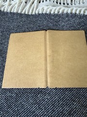 Traveler’s Company Japan Leather Passport Sz Notebook Cover Olive (looks Brown!)