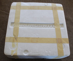 New Open Box Carling Technologies circuit breaker CT2-P2-D4-820-A11-MK
