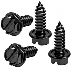 Rustproof Black-Slotted License Plate Screws 4-Pack | Stainless Steel