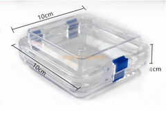 10x Denture False Inlay Teeth Membrane Case Hinged Display Jewelry Box 10x10x4cm