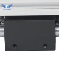 100mm Dual Optical Axis Manual Sliding Table Ballscrew SFU1605 Linear Guides