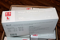 800 BASIC Vinyl Exam Gloves Latex-Free & Protein Free 100/Box, 800 Gloves total.
