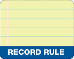 Record Ledger, 8.25 X 10.75 Inches, 5 Squares per Inch, 300 Tinted Pages, Black