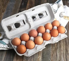 MT Products Printed Pulp XL Paper Egg Cartons Hold Eggs 12 Count – Pack of 10