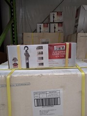 Jet 3/4 Ton Lever Hoist with 10 Foot Lift, Resettable Overload Protection